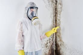 Best Air Quality Testing for Mold Spores  in Somerville, NJ